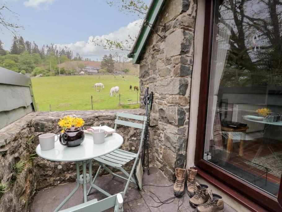 Y Gribyn - Modern Stone Cottage Within Snowdonia'S National Park Dolgellau Exterior photo