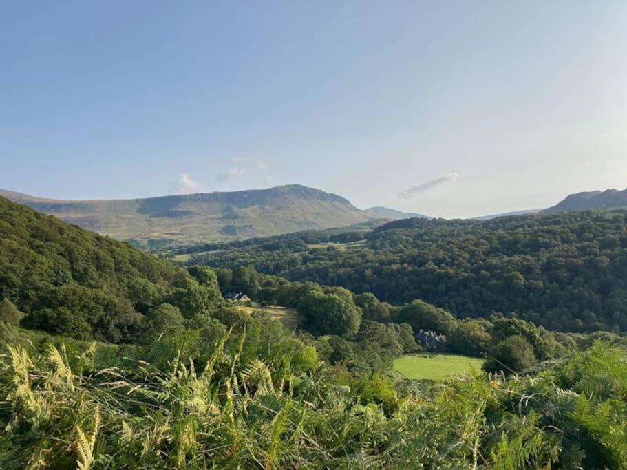 Y Gribyn - Modern Stone Cottage Within Snowdonia'S National Park Dolgellau Exterior photo