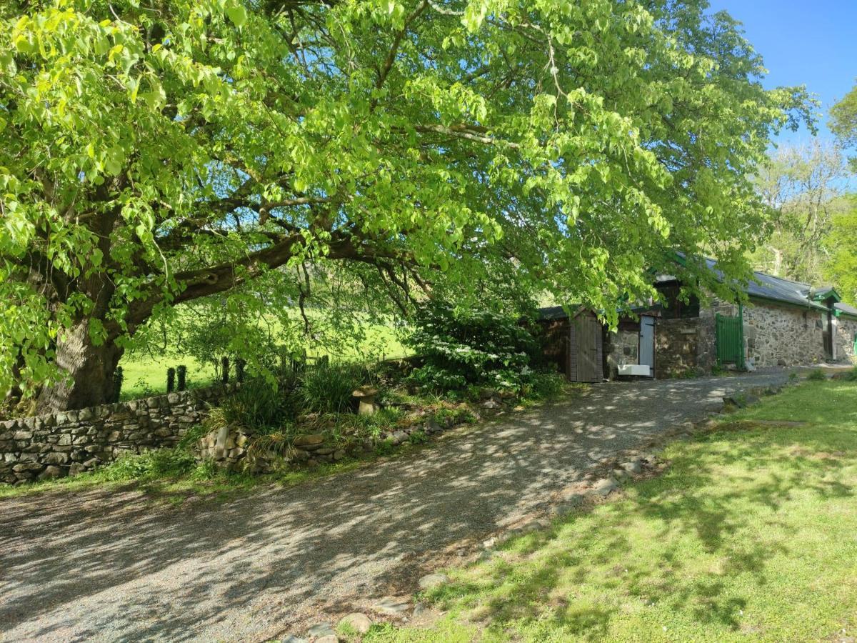 Y Gribyn - Modern Stone Cottage Within Snowdonia'S National Park Dolgellau Exterior photo